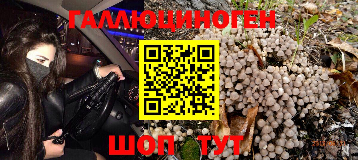 Псилоцибиновые грибы ЛСД Саров